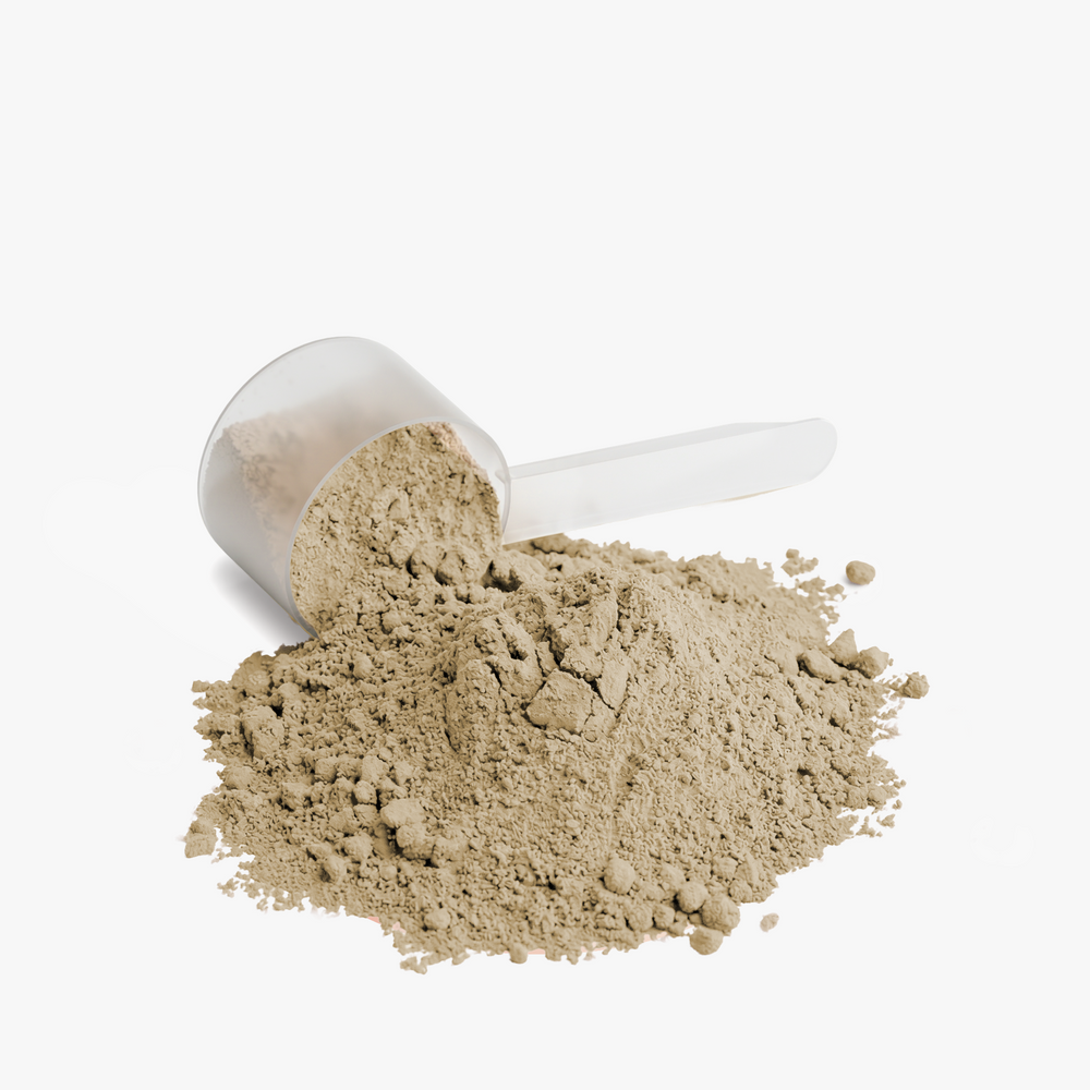 Close-up of DP vanilla plant protein powder with a scoop